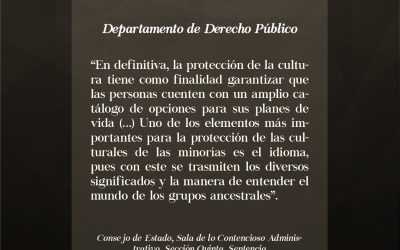 Más allá de un simple carácter.  Cómo la inobservancia de un signo alfabético puede atentar contra el pluralismo, la diversidad cultural y la identidad.