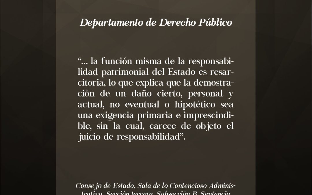 ¿El Estado debe responder patrimonialmente por los daños producidos en el ejercicio de la protesta social?