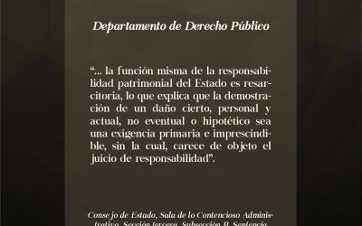 ¿El Estado debe responder patrimonialmente por los daños producidos en el ejercicio de la protesta social?